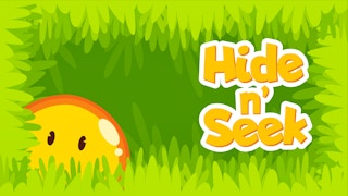 Image Hiding and Seeking