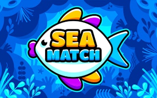 Image Sea Match